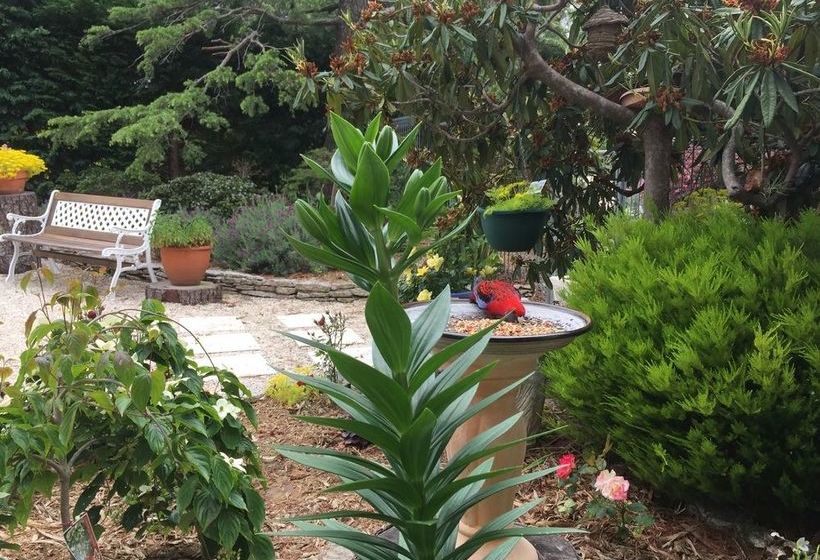 Pension Corner Manor Leura | Leura | New South Wales | Australia 6