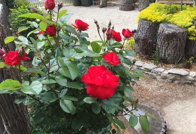 Pension Corner Manor Leura | Leura | New South Wales | Australia 7