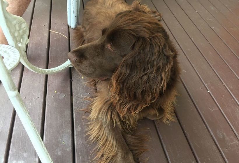 Pension Corner Manor Leura | Leura | New South Wales | Australia 8