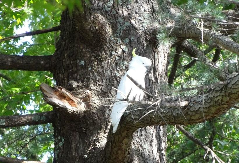 Pension Corner Manor Leura | Leura | New South Wales | Australia 9