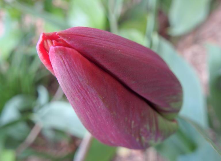 Bowral Road Bed & Breakfast | Mittagong | New South Wales | Australia 15