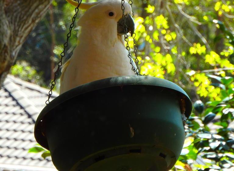 Bowral Road Bed & Breakfast | Mittagong | New South Wales | Australia 17