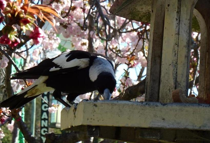 Bowral Road Bed & Breakfast | Mittagong | New South Wales | Australia 19