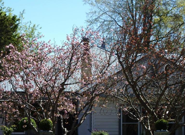 Bowral Road Bed & Breakfast | Mittagong | New South Wales | Australia 2