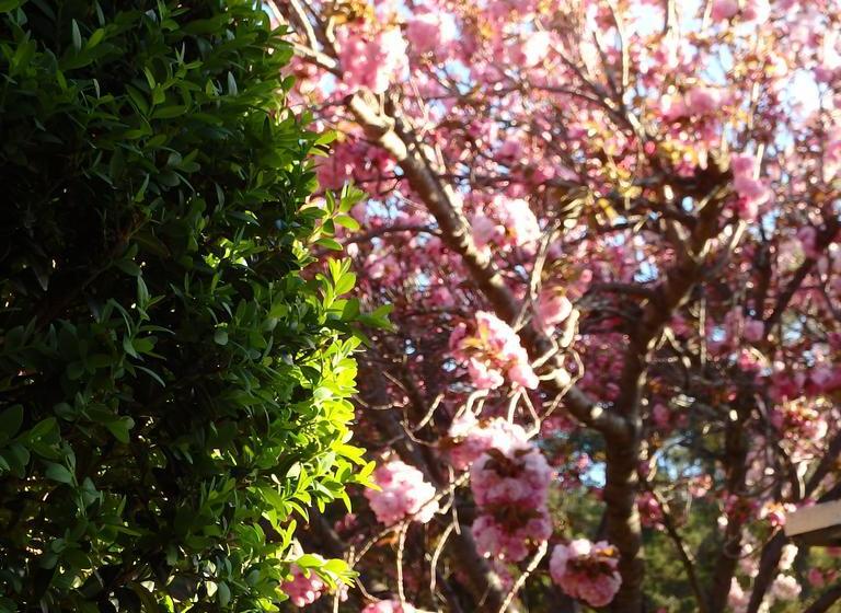 Bowral Road Bed & Breakfast | Mittagong | New South Wales | Australia 4