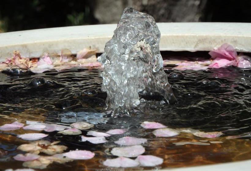 Bowral Road Bed & Breakfast | Mittagong | New South Wales | Australia 5