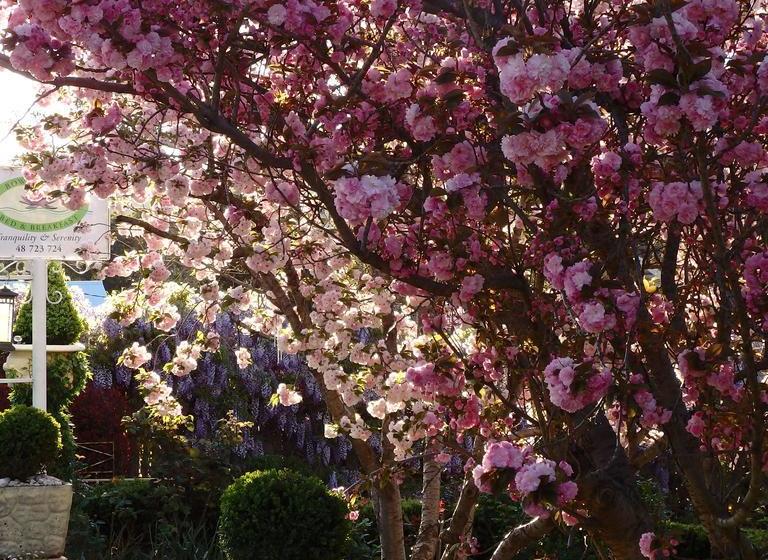 Bowral Road Bed & Breakfast | Mittagong | New South Wales | Australia 8