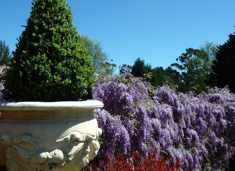 Bowral Road Bed & Breakfast | Mittagong | New South Wales | Australia 9