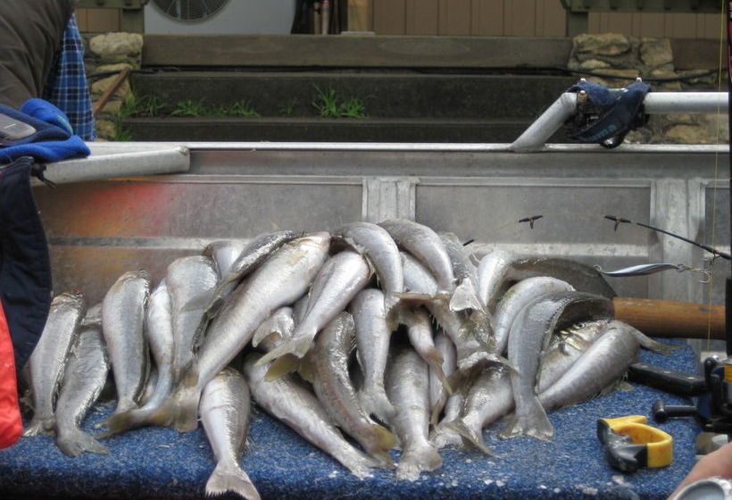 Sunrise On Falie | American River | South Australia | Australia 11
