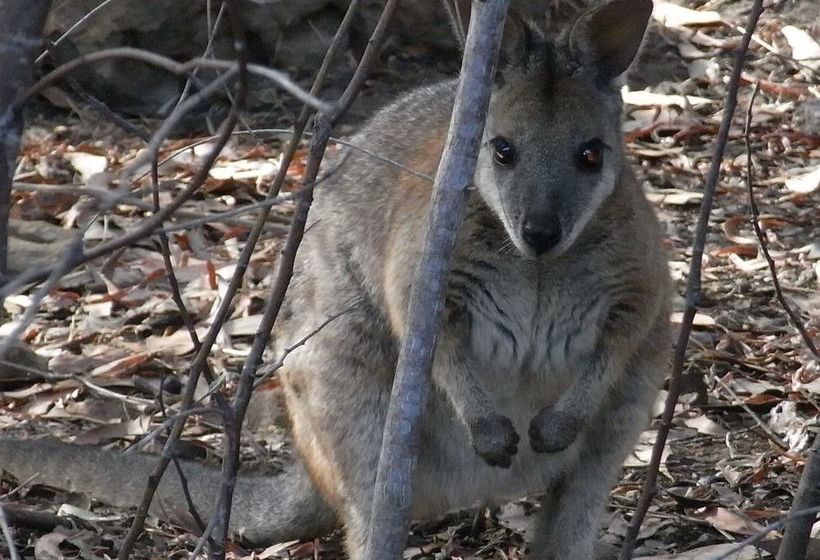 Sunrise On Falie | American River | South Australia | Australia 12