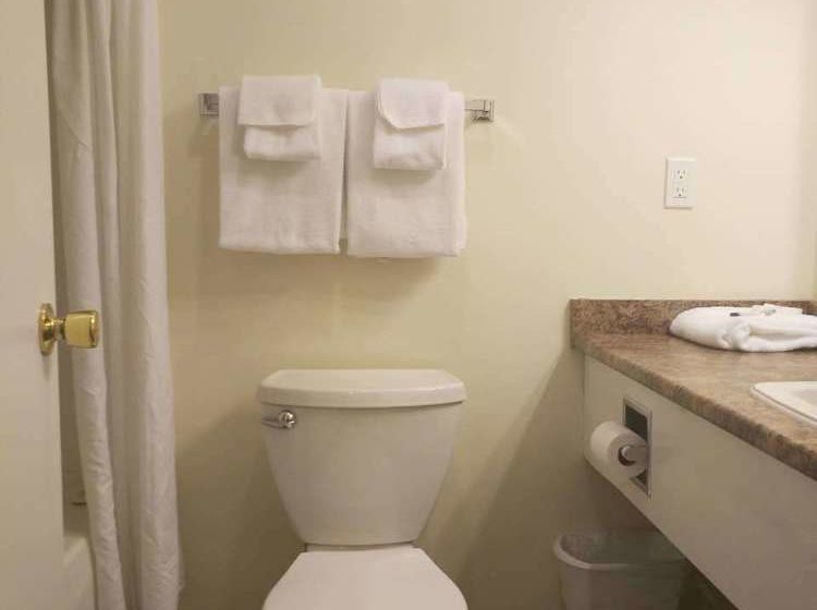 Motel Metro Inn | Victoria | British Columbia | Canada 14