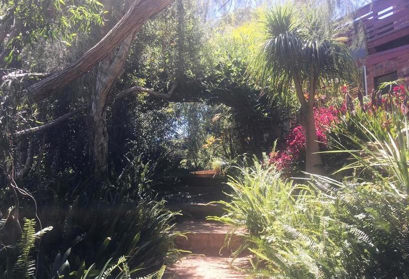 Kiama Bed & Breakfast | Kiama | New South Wales | Australia 10