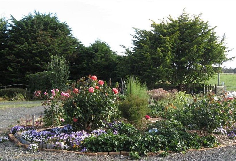 Blueberry B&b | Heybridge | Tasmania | Australia 16