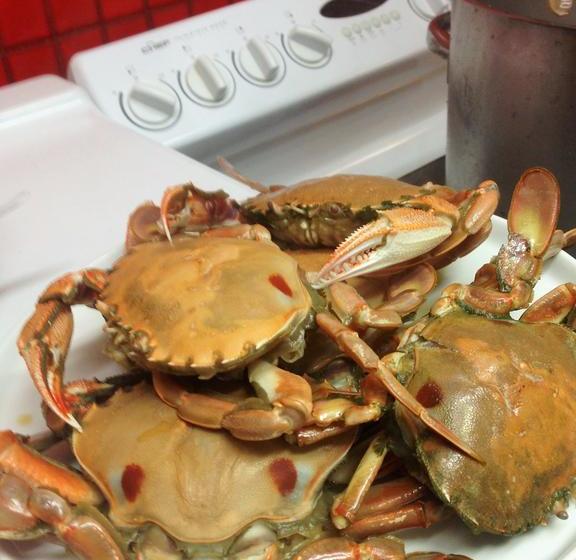 Abel Tasman Waterfront Motel Lakes Entrance | Lakes Entrance | Victoria | Australia 15