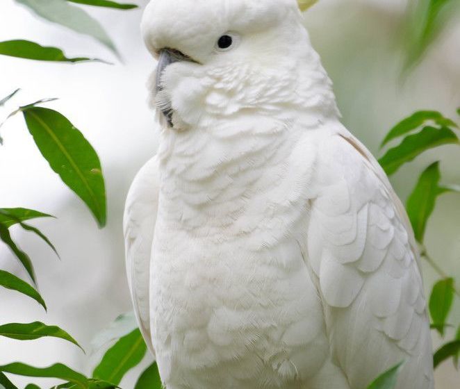 Bed and Breakfast Glenview Retreat | Melbourne | Victoria | Australia 17