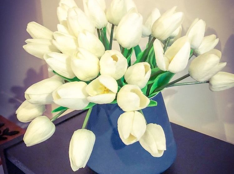 Bed and Breakfast Glenview Retreat | Melbourne | Victoria | Australia 2