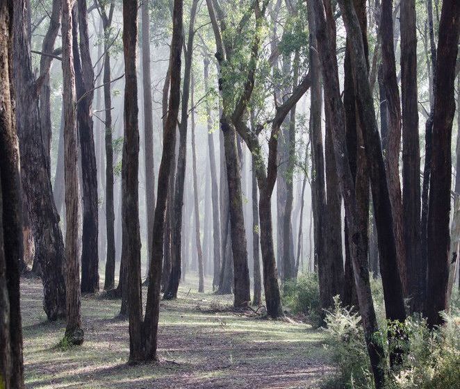 Bed and Breakfast Glenview Retreat | Melbourne | Victoria | Australia 20