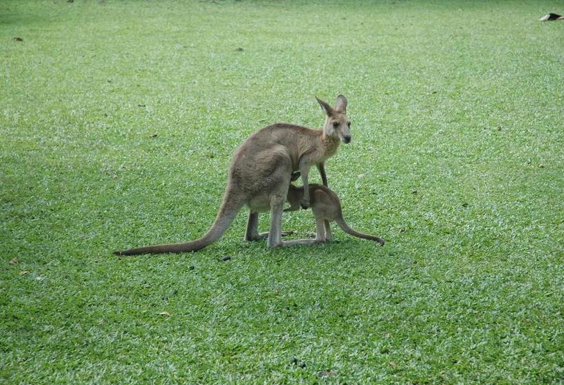 Hibiscus Lodge Bed & Breakfast | Mission Beach | Queensland | Australia 3