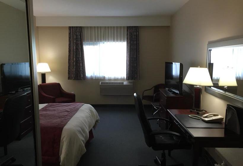 Hotel Lakeland Inn | Cold Lake | Alberta | Canada 11