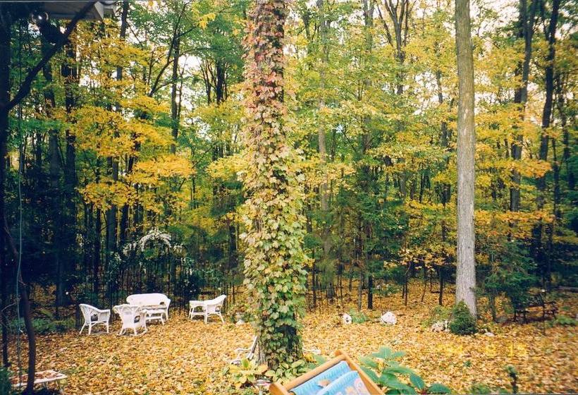 Hotel Les Diplomates B&b Executive Guest House | Waterloo | Ontario | Canada 5