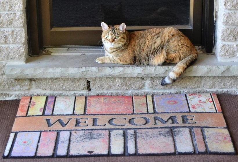 Stratford Suburban Motel | Stratford | Ontario | Canada 5