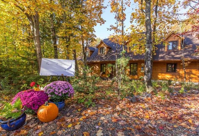 Hotel Plumes Et Glisse B&b Sainte Agathe des Monts