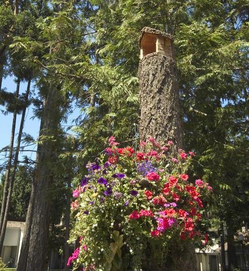 Hotel Ocean Trails Resort | Parksville | British Columbia | Canada 6