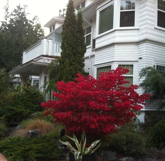 Crown Mansion Boutique Hotel & Villas | Parksville | British Columbia | Canada 7