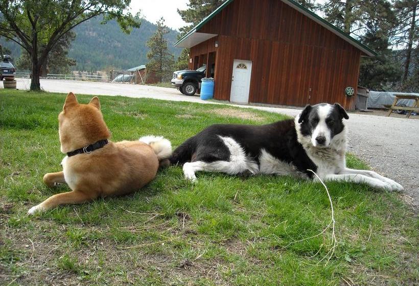 Hotel Wildhorse Mountain Guest Ranch | Penticton | British Columbia | Canada 4