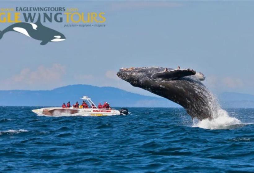 Hotel Fisherman's Wharf Bed & Breakfast | Victoria | British Columbia | Canada 19