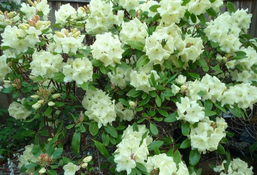 Hotel Cycle-inn Bed & Breakfast | Victoria | British Columbia | Canada 12