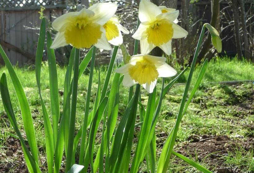 Hotel Cycle-inn Bed & Breakfast | Victoria | British Columbia | Canada 6