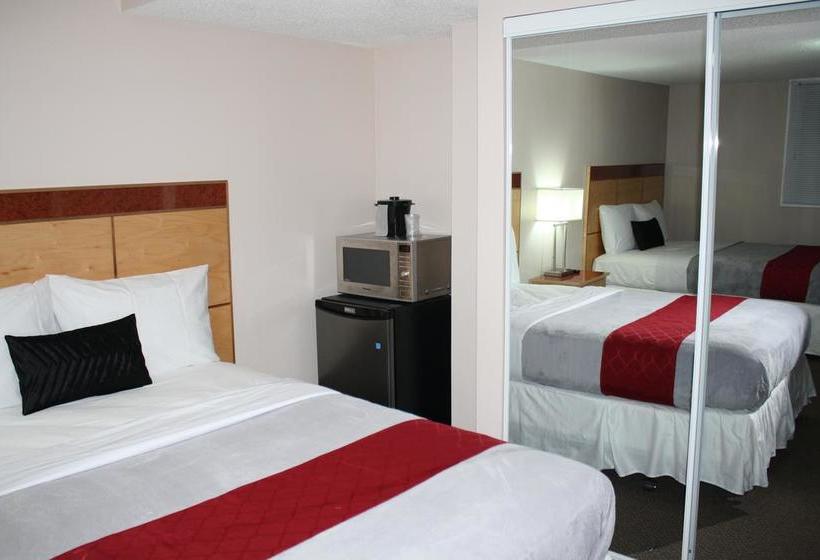 Bexon Rooms - Hotel Downtown Windsor