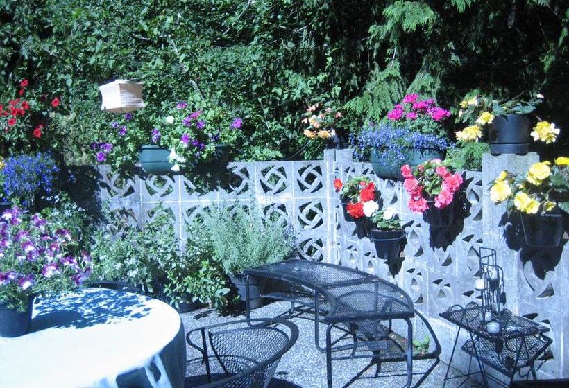 Hotel Misty Meadows Bed And Breakfast