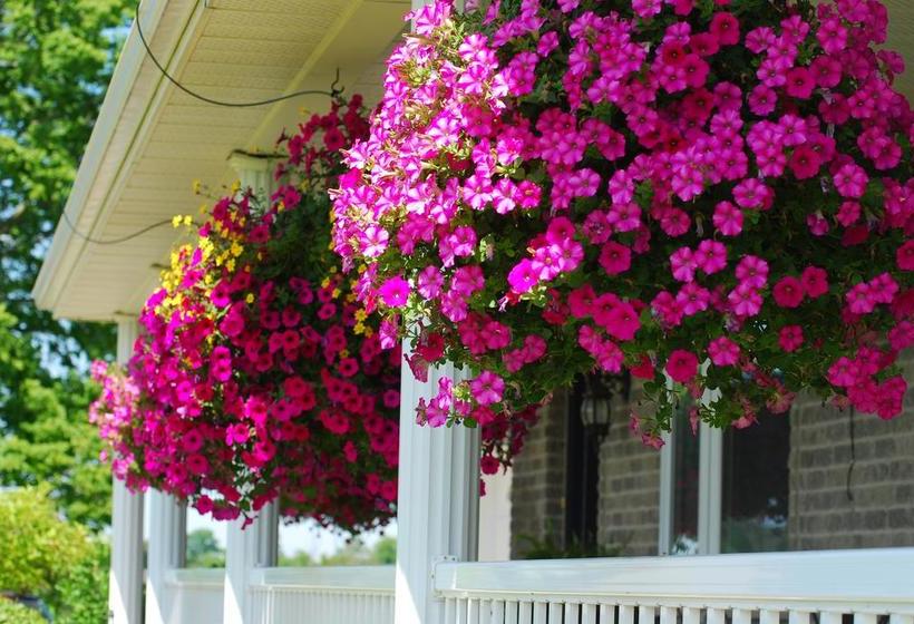 Hotel Bed&Breakfast Golden Pathways Retreat | Peterborough | Ontario | Canada 5