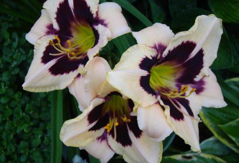 Hotel A Moment In Time | Niagara Falls | Ontario | Canada 15