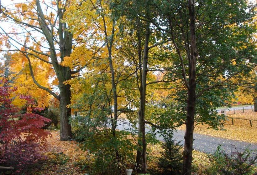 Hotel Downhome Bed&Breakfast | Niagara Falls | Ontario | Canada 19