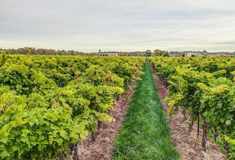 Hotel Vineyard Villa Bed&Breakfast | Niagara Falls | Ontario | Canada 17