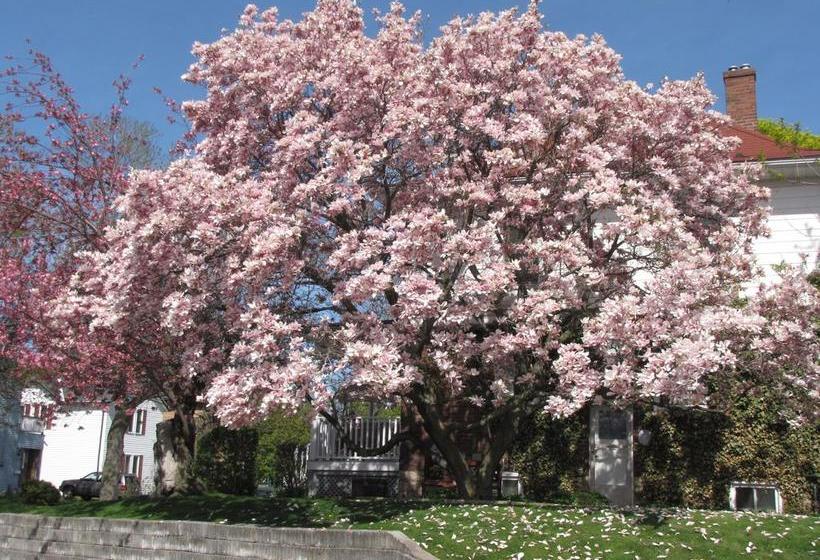 Hotel Strathaird Bed&Breakfast | Niagara Falls | Ontario | Canada 11