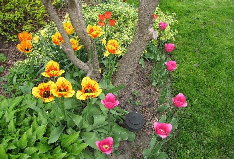 Hotel Strathaird Bed&Breakfast | Niagara Falls | Ontario | Canada 7