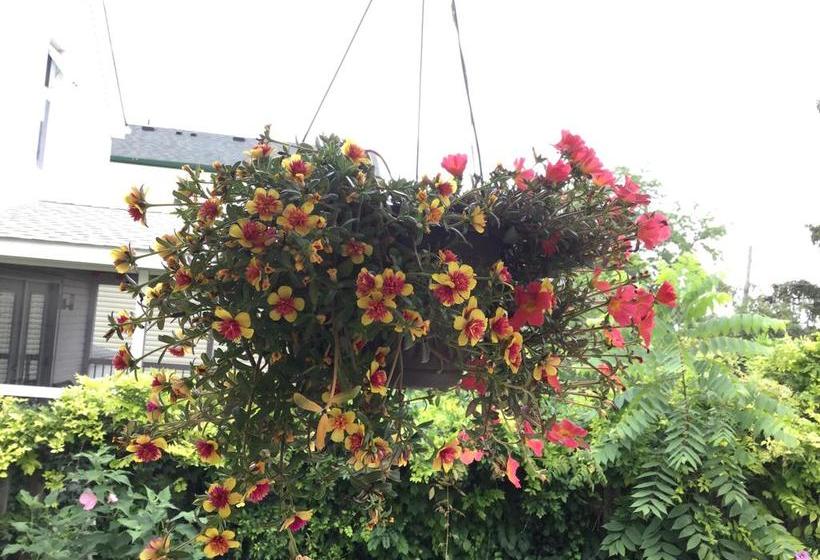 Hotel Niagara Inn Bed&Breakfast | Niagara Falls | Ontario | Canada 5