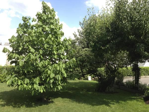 Hotel Dunn Street Inn Bed And Breakfast | Niagara Falls | Ontario | Canada 19