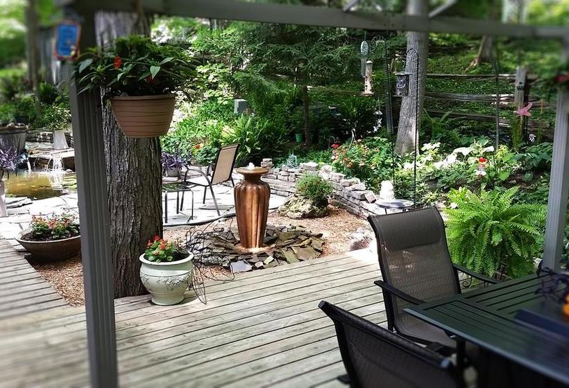 Hotel Forest Hill Bed & Breakfast