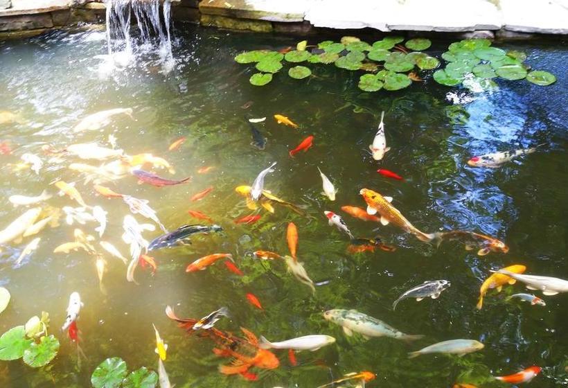 Hotel Forest Hill Bed & Breakfast | Kitchener | Ontario | Canada 2