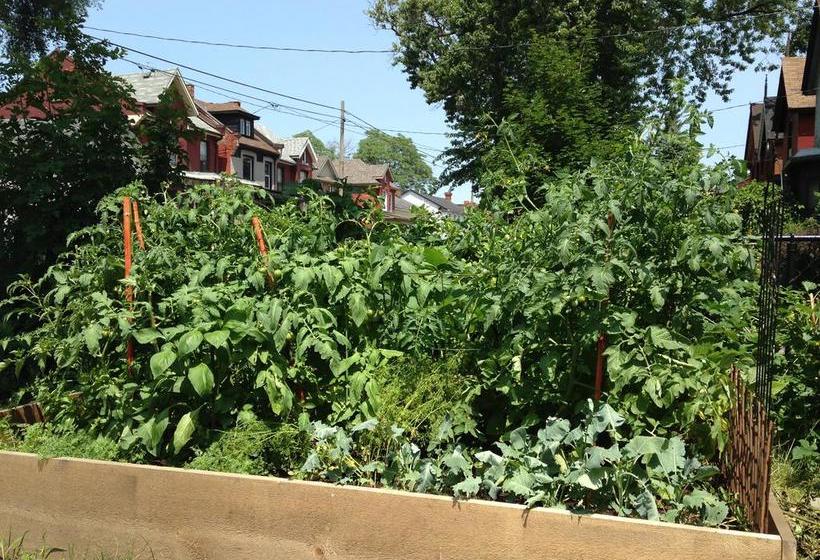 Hotel Hamilton Guesthouse | Hamilton | Ontario | Canada 6