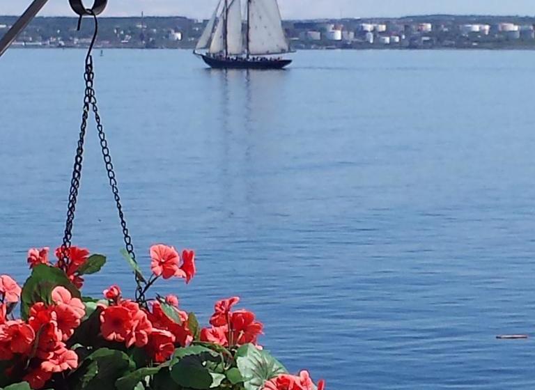 Hôtel Seawatch Bed And Breakfast | Halifax | Nouvelle-écosse | Hôtels au Canada 6