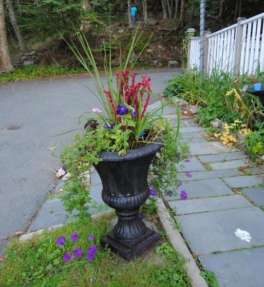 Hotel Ascendence Harbourside Mansion B&b | Halifax | Nova Scotia | Kanada 11