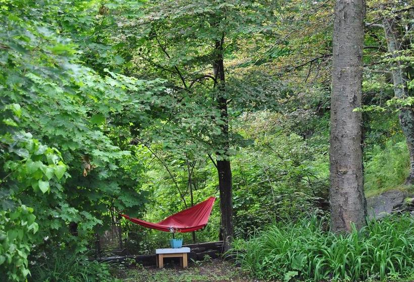 Hotel Ascendence Harbourside Mansion B&b | Halifax | Nova Scotia | Kanada 2