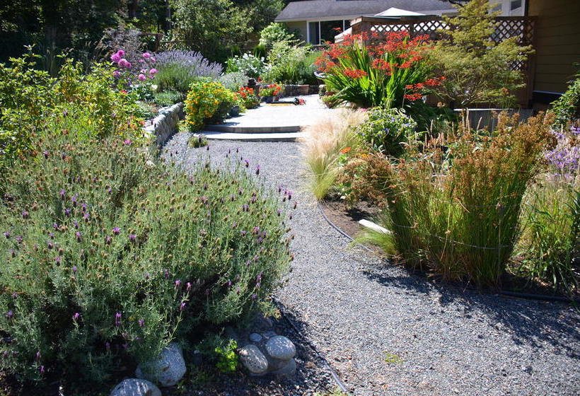 Hotel Seasons Above The Bay Guest Suites And B&b | Duncan | British Columbia | Canada 12