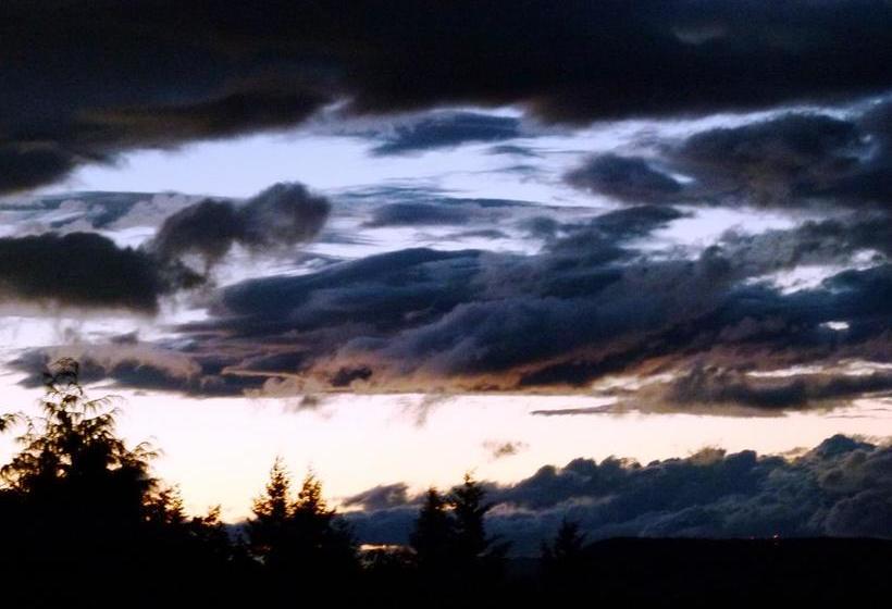 Hotel Panorama Bed And Breakfast | Duncan | British Columbia | Canada 7